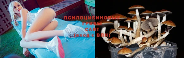 прущий лед Киренск