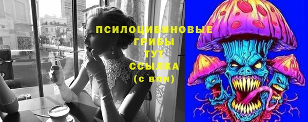 прущий лед Киренск
